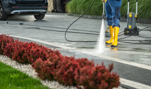 Professional  Pressure Washing Services in Opelousas, LA